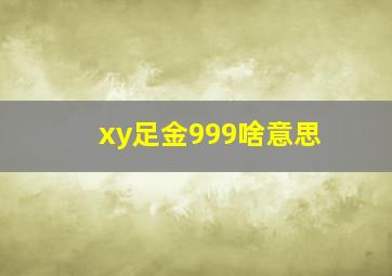 xy足金999啥意思