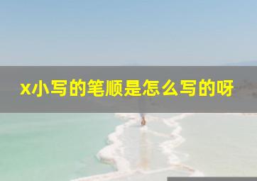 x小写的笔顺是怎么写的呀