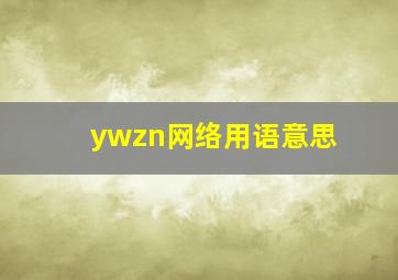 ywzn网络用语意思