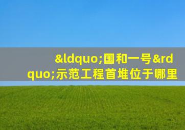 “国和一号”示范工程首堆位于哪里