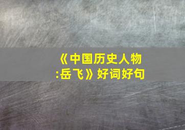 《中国历史人物:岳飞》好词好句