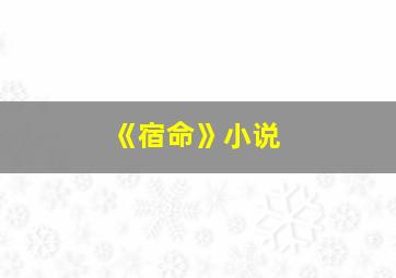 《宿命》小说