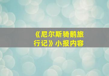 《尼尔斯骑鹅旅行记》小报内容