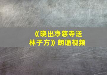 《晓出净慈寺送林子方》朗诵视频