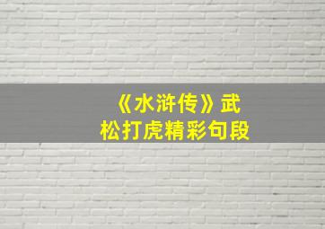 《水浒传》武松打虎精彩句段