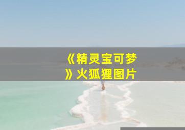 《精灵宝可梦》火狐狸图片