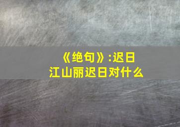 《绝句》:迟日江山丽迟日对什么