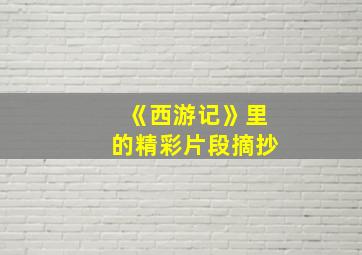 《西游记》里的精彩片段摘抄