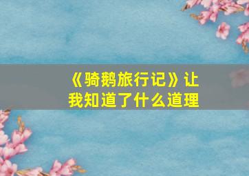 《骑鹅旅行记》让我知道了什么道理