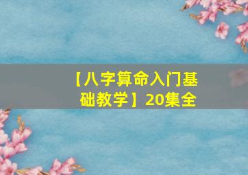 【八字算命入门基础教学】20集全