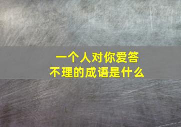 一个人对你爱答不理的成语是什么