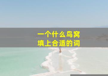 一个什么鸟窝填上合适的词