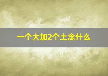 一个大加2个土念什么