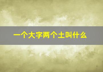 一个大字两个土叫什么