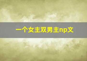 一个女主双男主np文