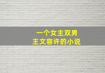 一个女主双男主文容许的小说