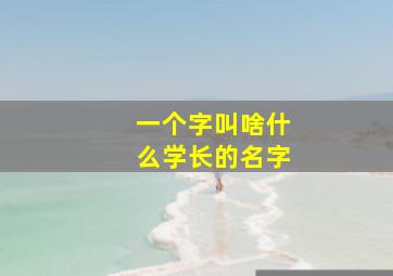 一个字叫啥什么学长的名字