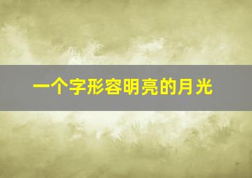 一个字形容明亮的月光