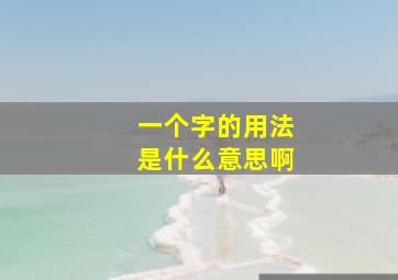 一个字的用法是什么意思啊