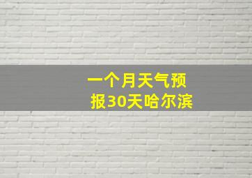 一个月天气预报30天哈尔滨