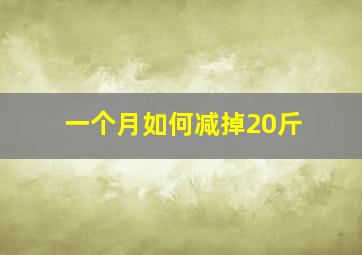 一个月如何减掉20斤