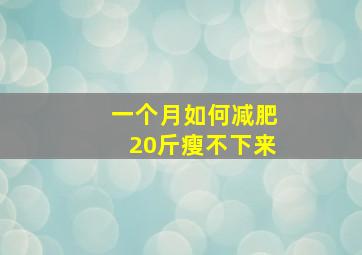 一个月如何减肥20斤瘦不下来