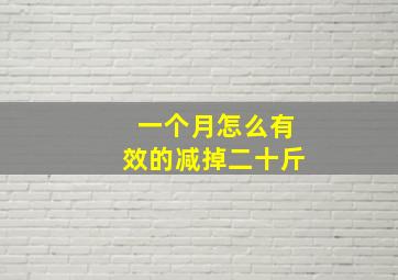 一个月怎么有效的减掉二十斤