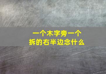 一个木字旁一个拆的右半边念什么