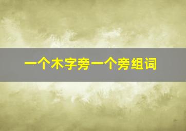 一个木字旁一个旁组词