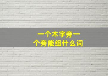 一个木字旁一个旁能组什么词