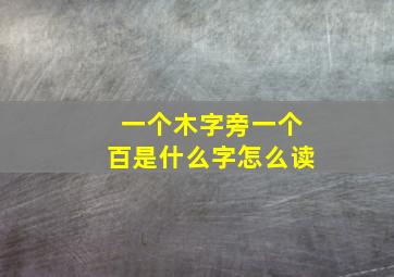 一个木字旁一个百是什么字怎么读