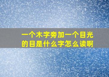 一个木字旁加一个目光的目是什么字怎么读啊