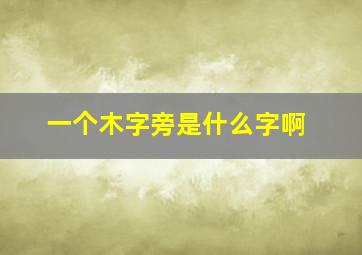 一个木字旁是什么字啊