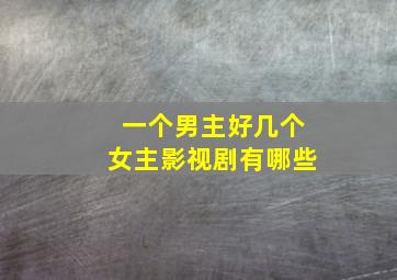 一个男主好几个女主影视剧有哪些