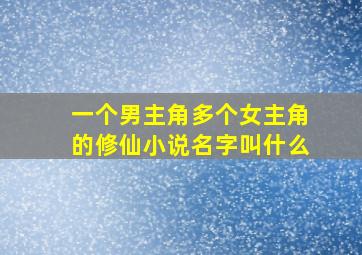 一个男主角多个女主角的修仙小说名字叫什么