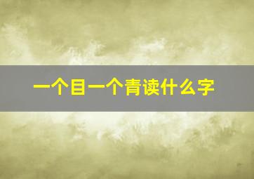 一个目一个青读什么字