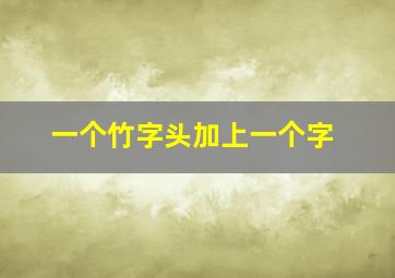 一个竹字头加上一个字