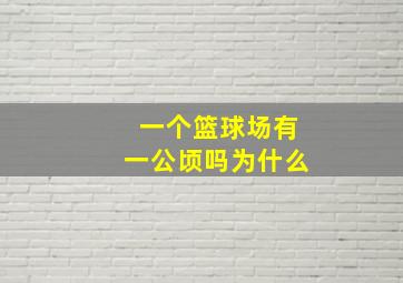 一个篮球场有一公顷吗为什么