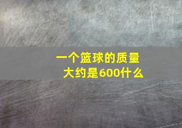 一个篮球的质量大约是600什么