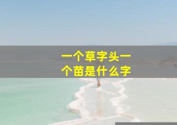 一个草字头一个苗是什么字