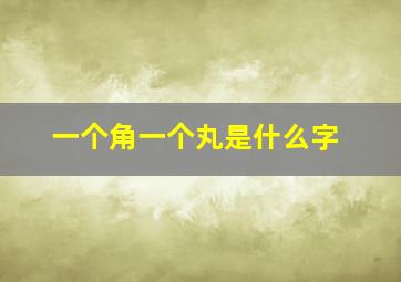 一个角一个丸是什么字