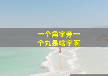 一个角字旁一个丸是啥字啊