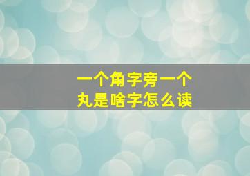 一个角字旁一个丸是啥字怎么读