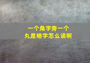 一个角字旁一个丸是啥字怎么读啊