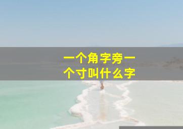 一个角字旁一个寸叫什么字