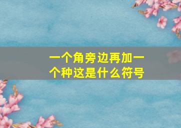 一个角旁边再加一个种这是什么符号