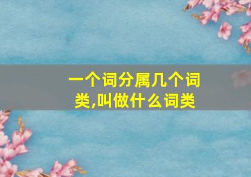 一个词分属几个词类,叫做什么词类