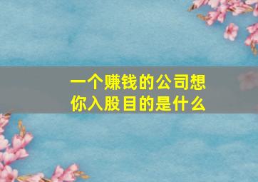 一个赚钱的公司想你入股目的是什么