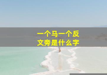 一个马一个反文旁是什么字