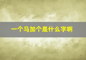 一个马加个是什么字啊